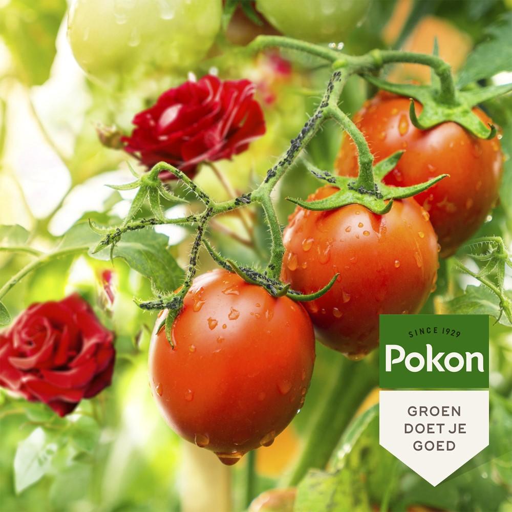 Pokon Bio Tegen Insecten Polysect GYO Spray - keizers.nu