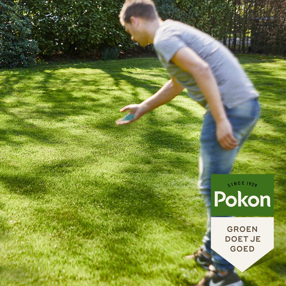 Pokon Graszaad Schaduw - keizers.nu