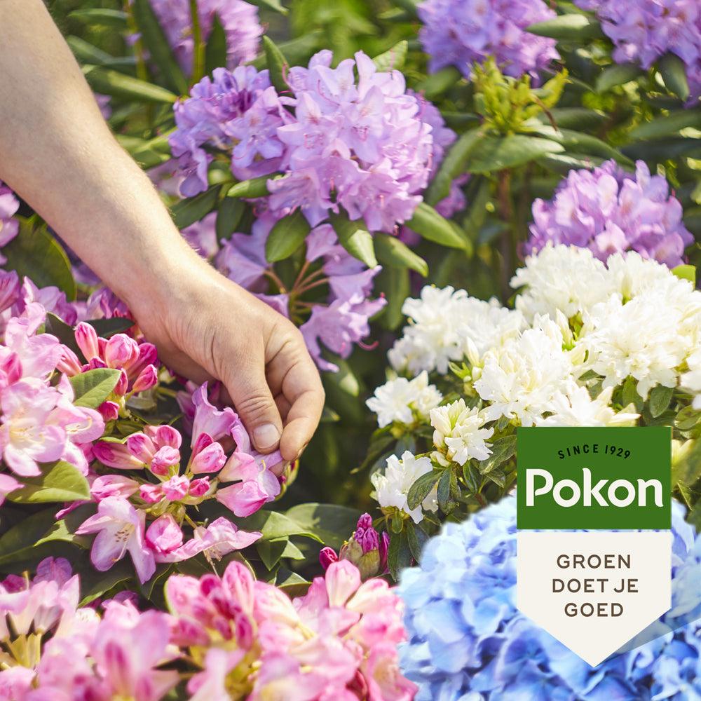 Pokon Rhododendron, Hortensia & Azalea Mest - keizers.nu