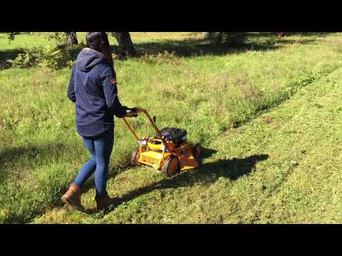 AS 510 ProClip 4T A 2in1 Benzine Mulchmaaier

