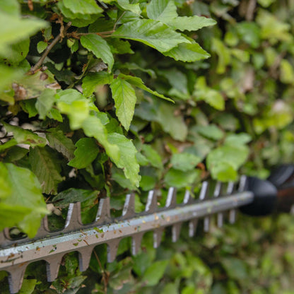 STIHL HLA 66 Accu Heggenschaar + AP 20 Accu