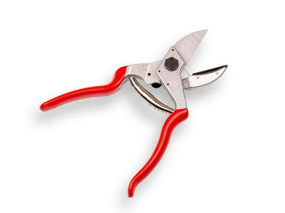 Felco 31