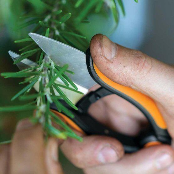 Fiskars Solid Kruiden Snip SP-220 - keizers.nu