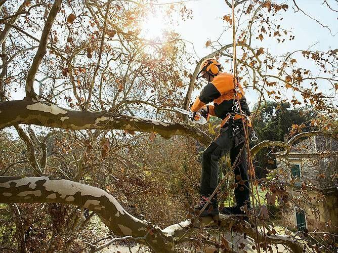 Stihl MS 151 TC-E Benzine Kettingzaag - keizers.nu