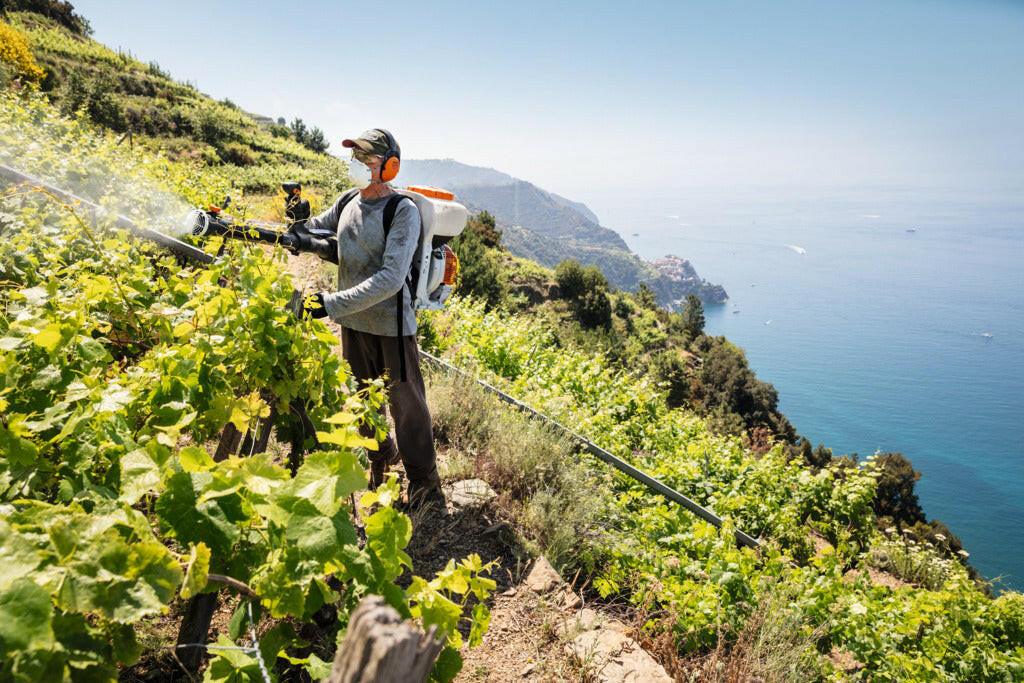 Stihl SR 200 Benzine Rugnevelspuit - keizers.nu